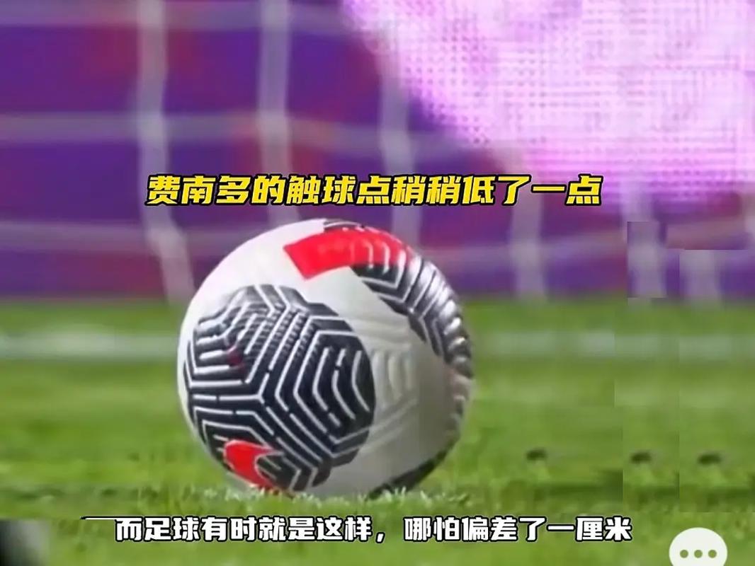 众多业内资