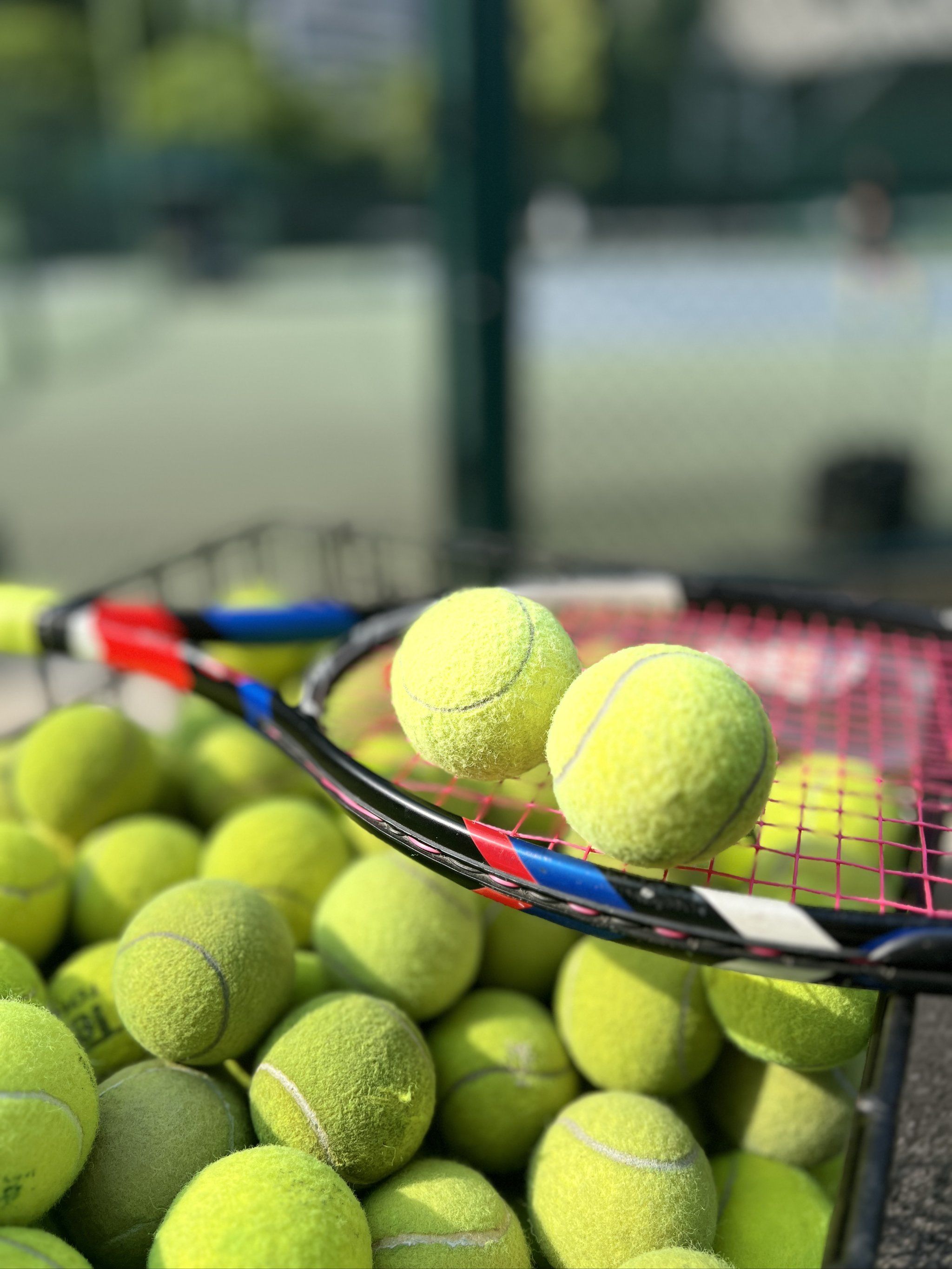 能面临的挑 能面临的挑