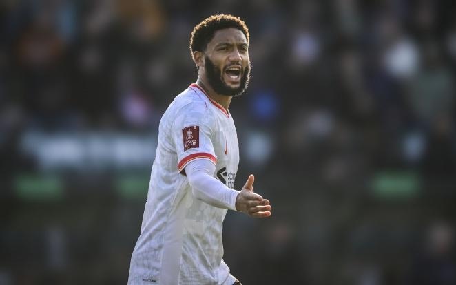 粉丝和支持 粉丝和支持