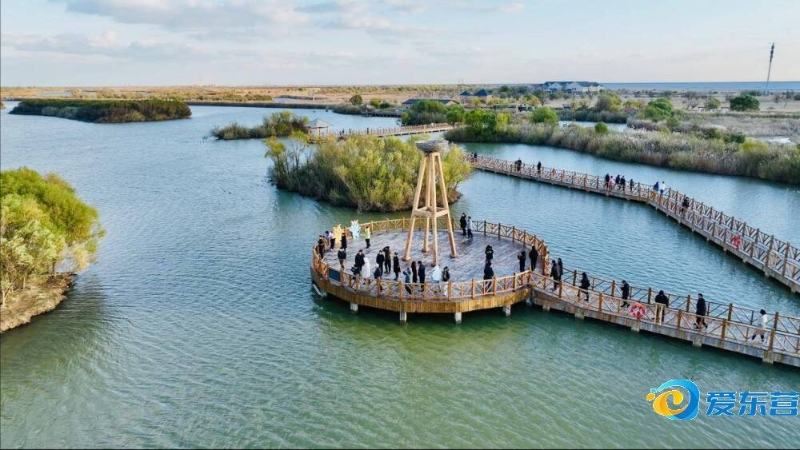 把巅峰表现 把巅峰表现